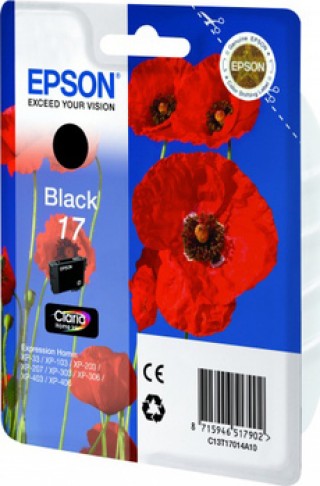 Картридж Epson T1701